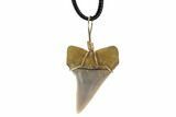 Fossil Mako Tooth Necklace - Bakersfield, California #95247-2